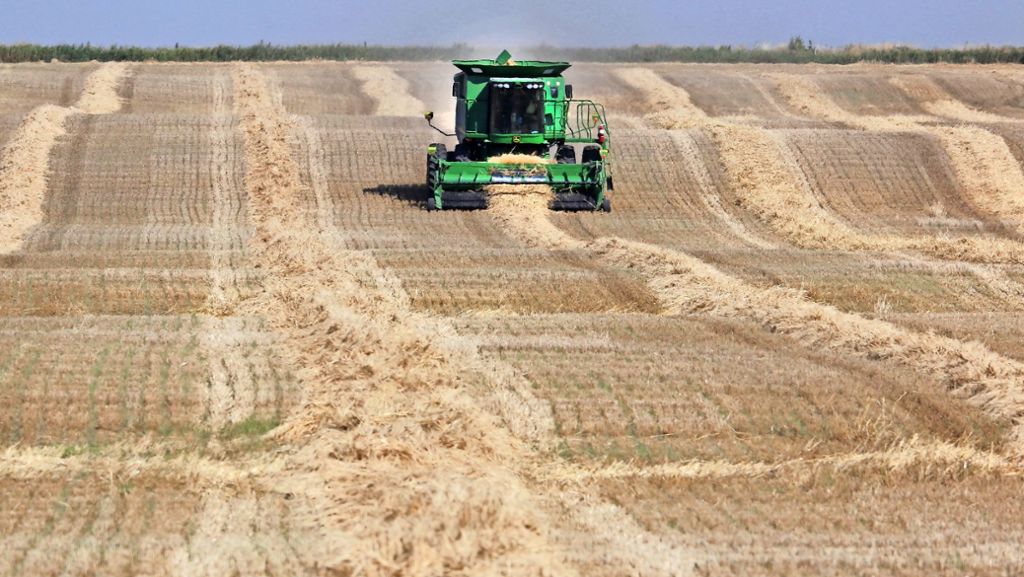 Landwirtschaft: Die EU verliert auf dem weltweiten Getreidemarkt
