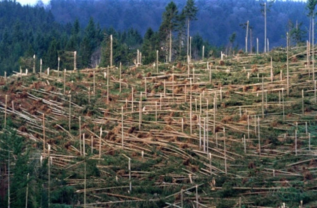 Der Orkan Lothar ist am 26. Dezember 1999 beinahe über ganz Westeuropa hinweggezogen. Auch in Stuttgart waren Schäden in Millionenhöhe zu verzeichnen. Ganze Waldgebiete wurden zerstört. Das Foto zeigt ein zerstörtes Waldstück in Simonswald im Schwarzwald. Insgesamt fielen dem Orkan am 26. Dezember 1999 in Baden-Württemberg rund 29 Millionen Festmeter Holz zum Opfer.