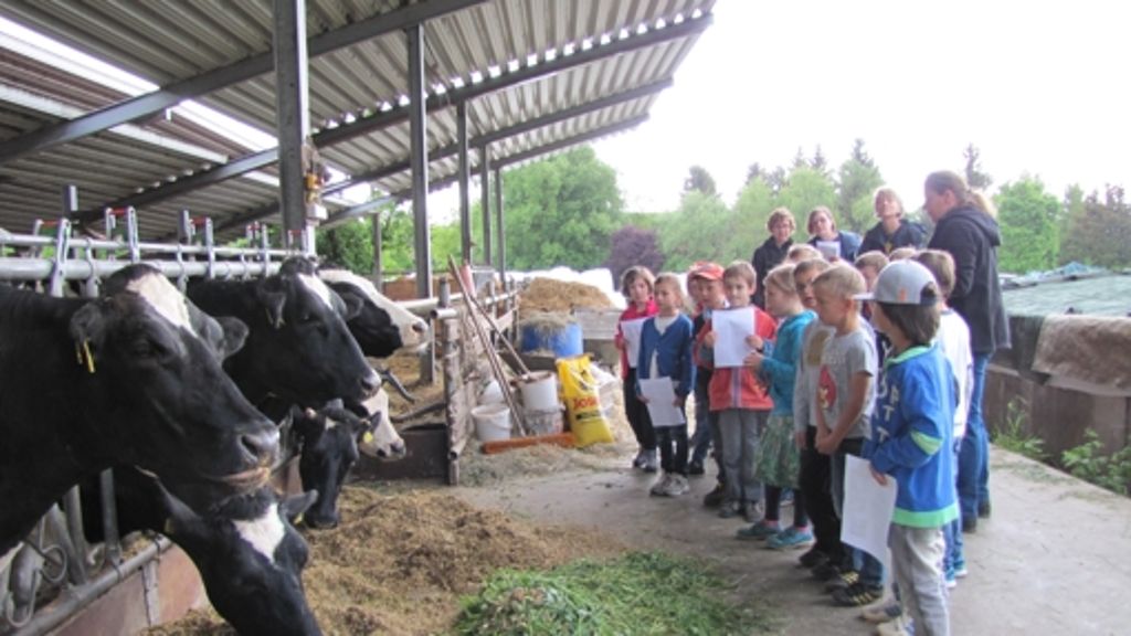 Bauernhof in Degerloch: Warum-Welle im Kuhstall