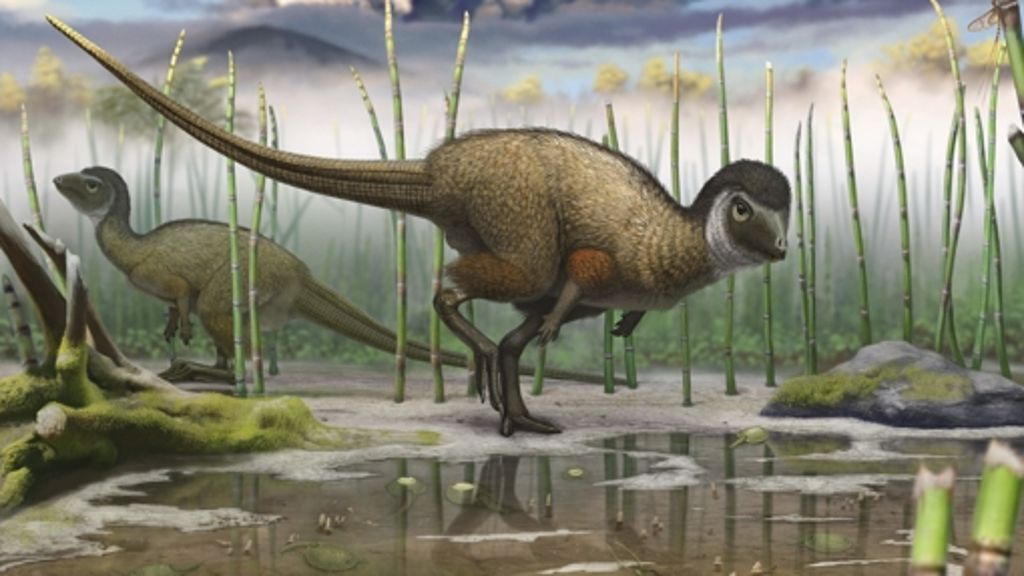  Die Evolution erklärt, wie die Dinosaurier ein Federkleid bekamen und wie einige von ihnen das Fliegen lernten. Aber sie erklärt nicht, wie das Bewusstsein entstand. Dumm nur, dass innerhalb der Wissenschaft keine Alternative zur Evolutionstheorie denkbar ist. 