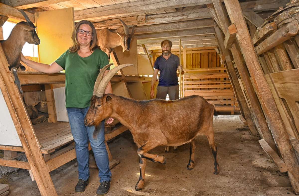 Melita und Albrecht Siegel hatten die Ziegen ursprünglich zur Pflege ihres Gartengrundstücks angeschafft.