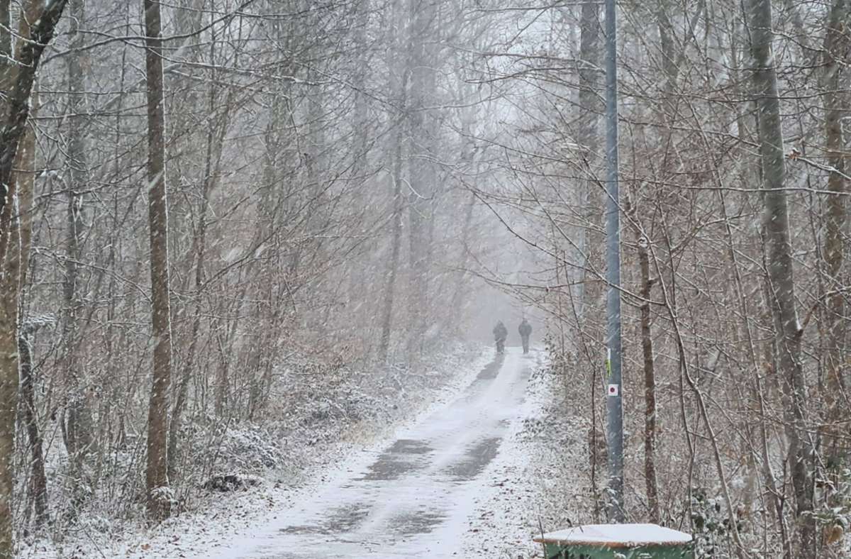 Spaziergänger im Winterwonderland.