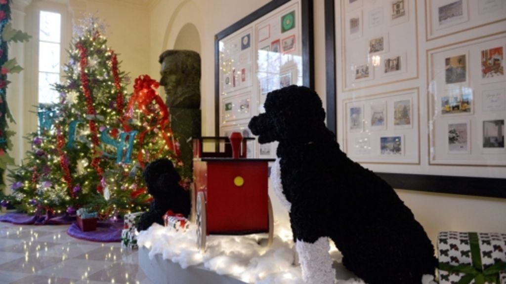 Weihnachten im Weißen Haus: Winterwunderland mit First Dog Bo
