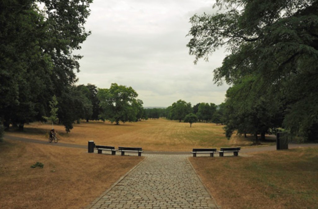 Braun statt grün - der Rasen im Rosensteinpark wartet auf Regen.