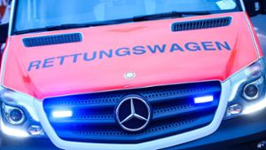 Unfall in Lenningen: Zusammenstoß mit Radlader – 36-Jähriger fährt zu schnell und verliert Kontrolle
