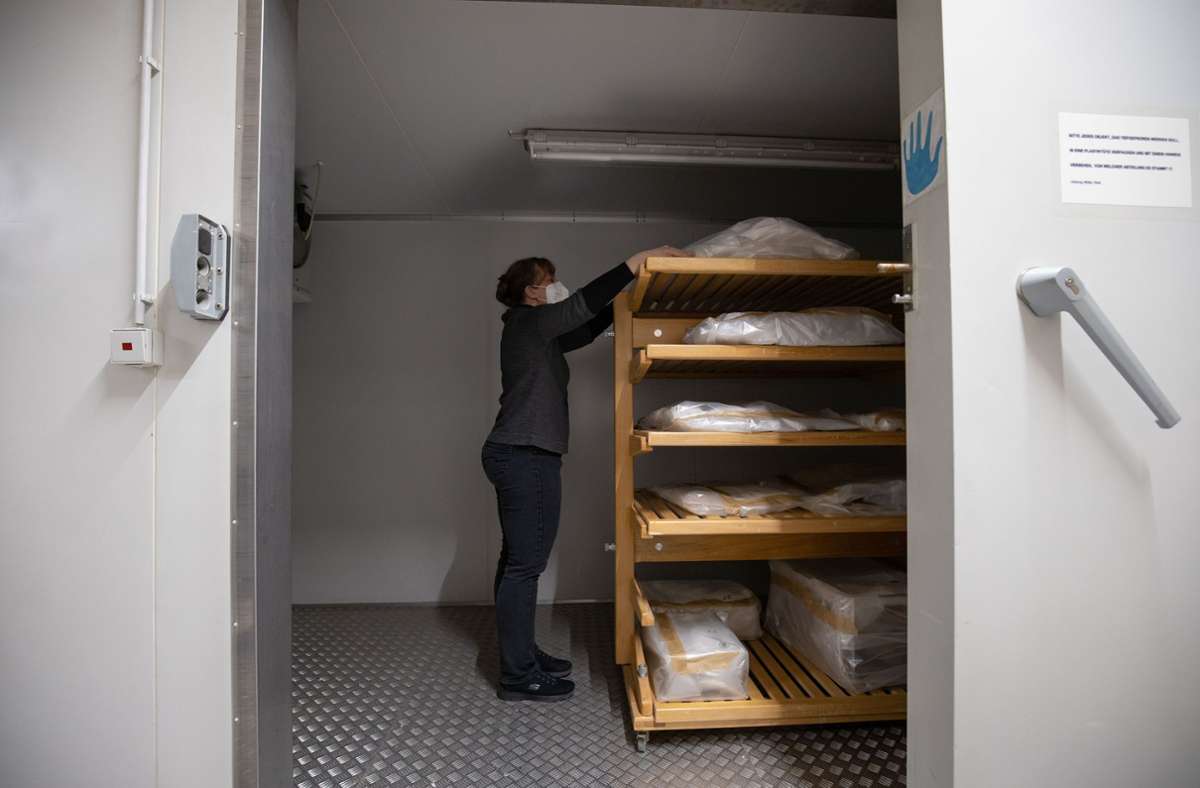 Ein besonderer Ort: die Tiefkühlkammer im Keller des Linden-Museums