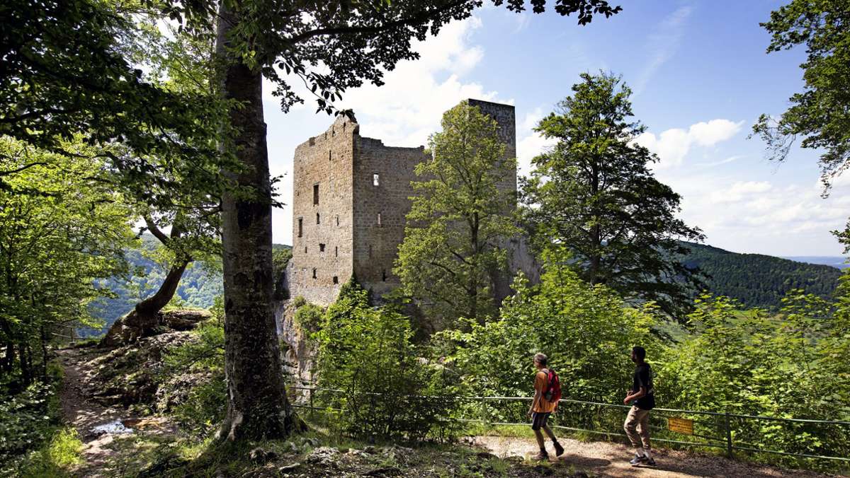  Obstbäume, moosige Felsen und gewundene Pfade: Eine Wanderung zum Reußenstein im Kreis Esslingen hat Romantikpotenzial. Die Ruine über einem der schönsten Seitentäler der Schwäbischen Alb ist ein echter Geheimtipp – noch. 