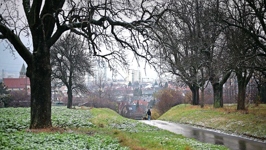 10 Jahre Naturpark West in Ludwigsburg: „Für mich ist der Park ein Lebenswerk“
