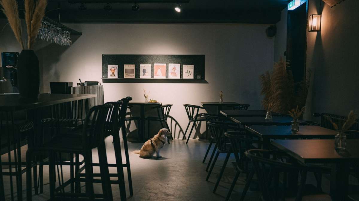 Das Café, das auch als Mietlocation verfügbar ist, umfasst 30 Sitzplätze.