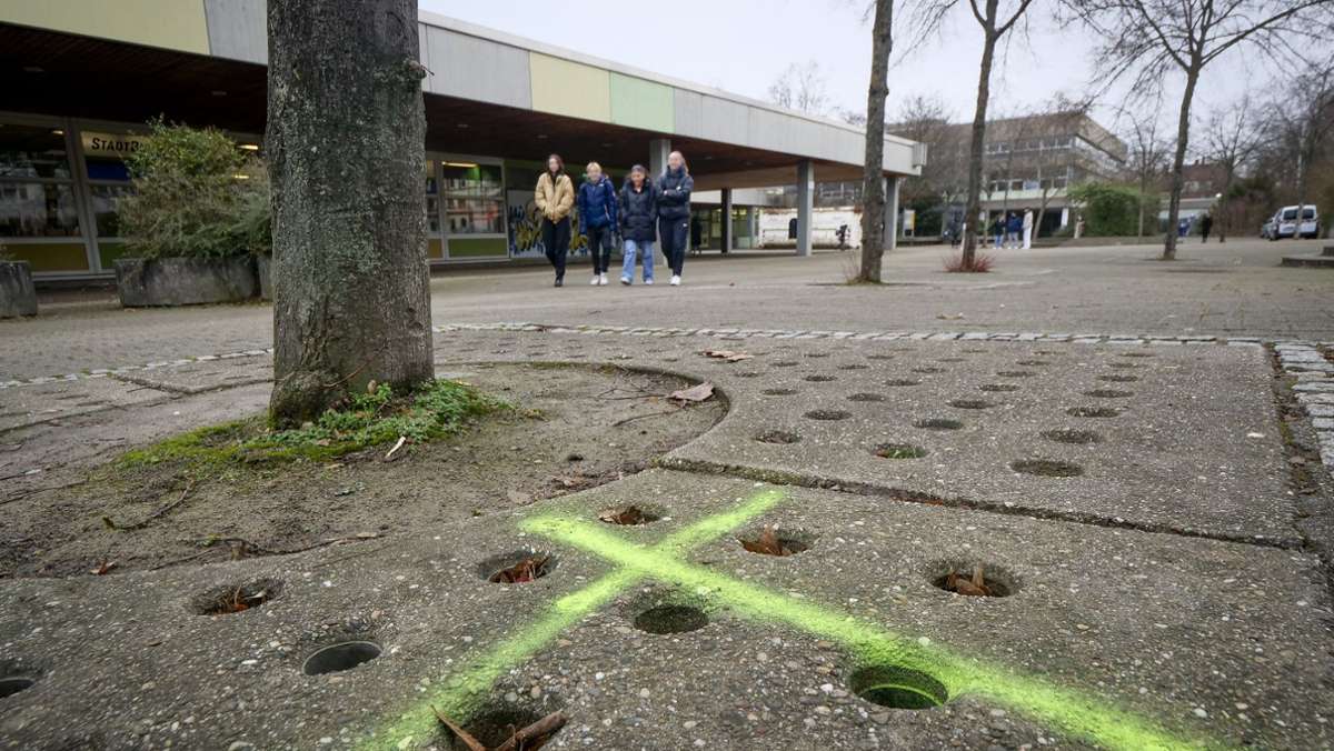 Schulen in Ludwigsburg: Mehr als 135  Bäume fallen am Bildungszentrum West