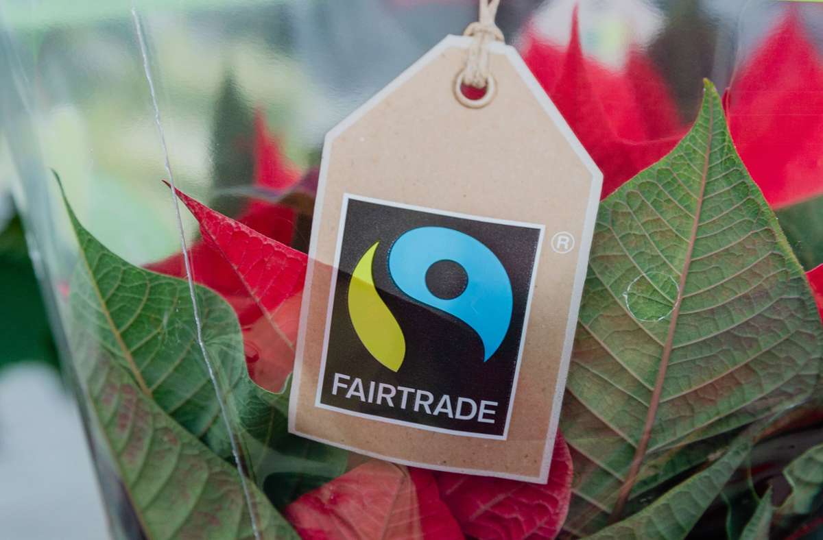 Auch Blumen gibt es mit dem Fairtrade-Siegel. Foto: dpa/Markus Scholz