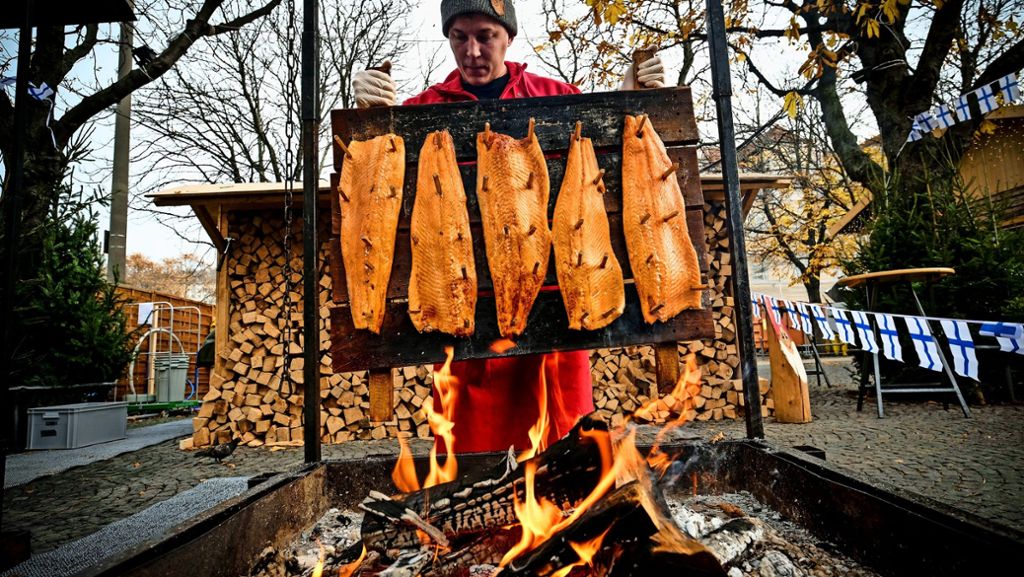 Finnisches Dorf: Lecker Lachs vom  Lagerfeuer