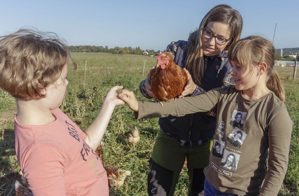 Kinder lernen alles Wichtige über Hühner.