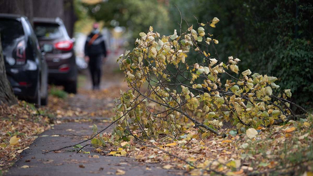  Im Südwesten hat der erste Herbststurm gewütet. Bäume stürzten um und Ziegel wurden von den Dächern geweht. Auch der Bahnverkehr musste eingeschränkt werden. 