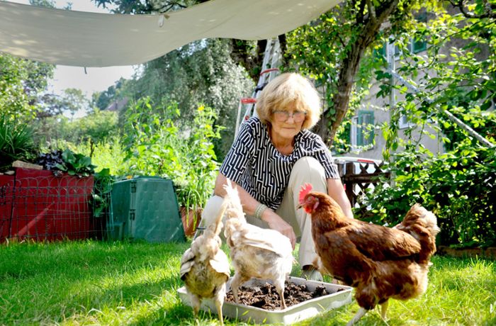 Jeden Tag  frische Eier –  wie Hühner die Stadt erobern