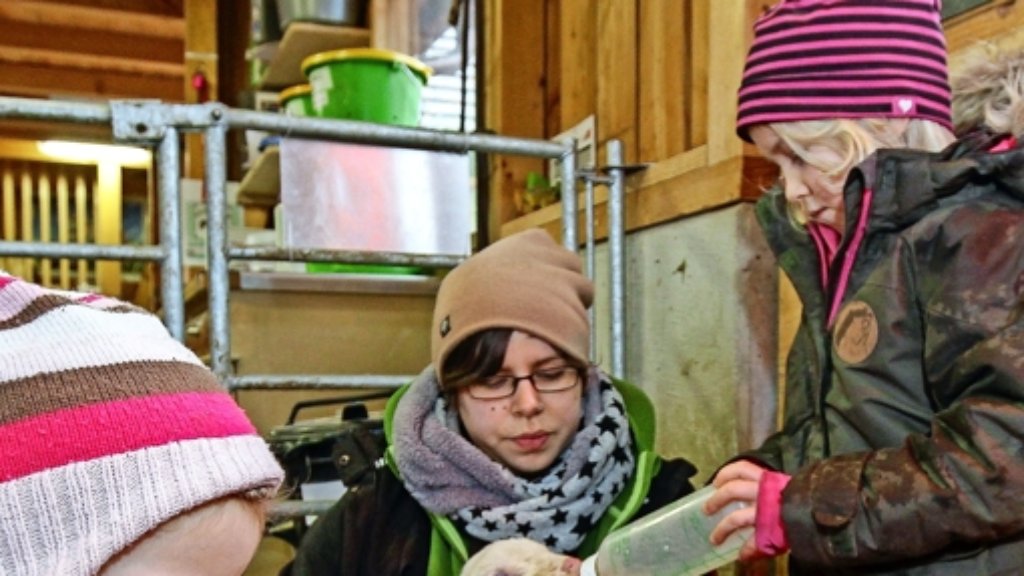 Leonberg: Zwei Fläschchen Milch für die Lämmer