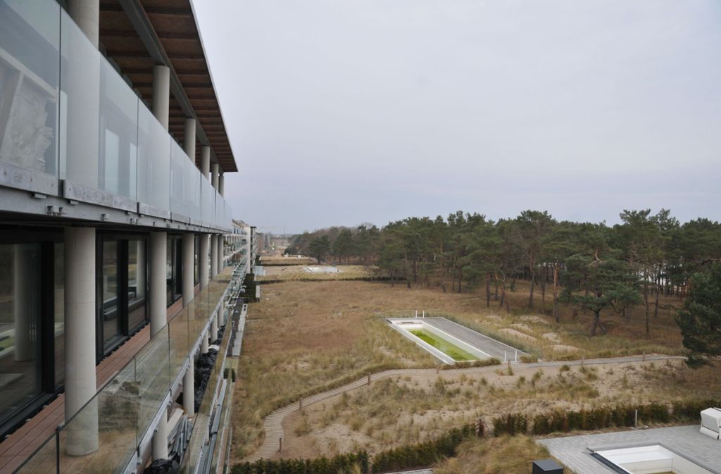 Blick vom Balkon auf das Kiefernwäldchen, das die Anlage von der Ostsee trennt.