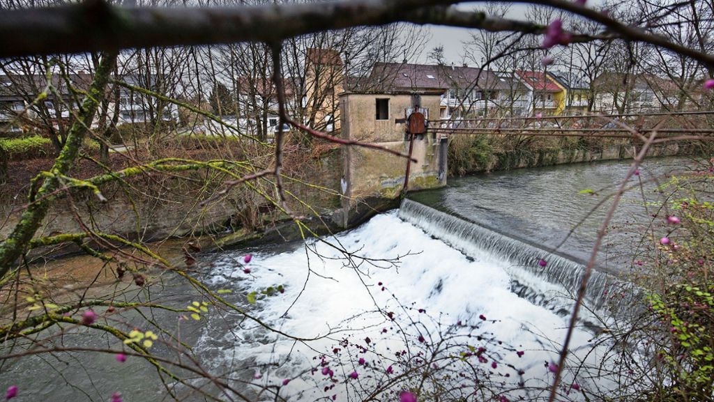Wendlingen: Stauversuch für  Wasserkraftanlage an Lauter