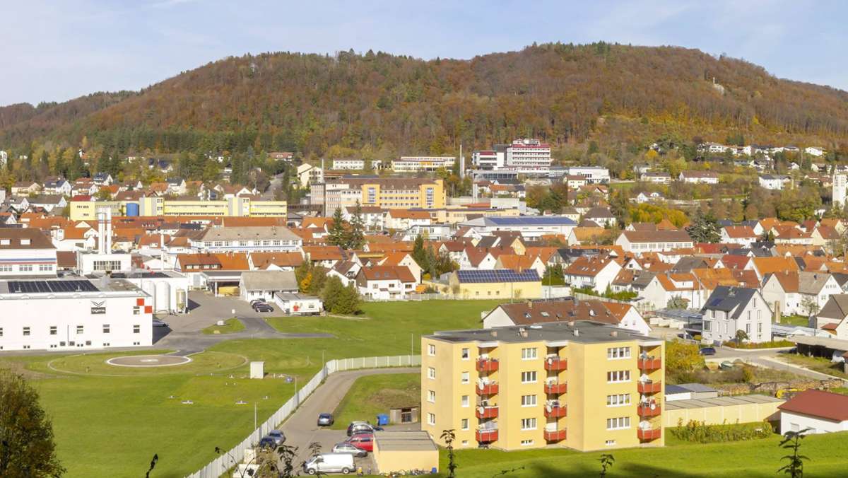 Burladingen in Baden-Württemberg: Die Stadt, die den einzigen AfD-Bürgermeister im Land hatte