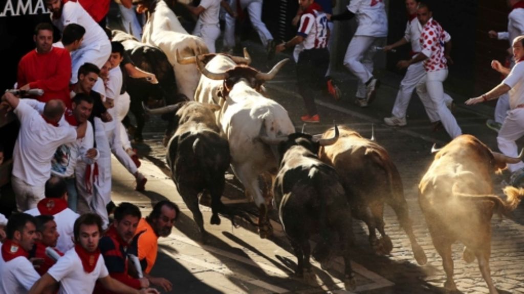  Tierschützer protestieren, doch alljährlich finden sich massenhaft Wagemutige, die bei der Stierhatz von Pamplona ihr Leben riskieren. Leidtragende sind die Tiere, doch die Spanier berufen sich auf die Tradition. 