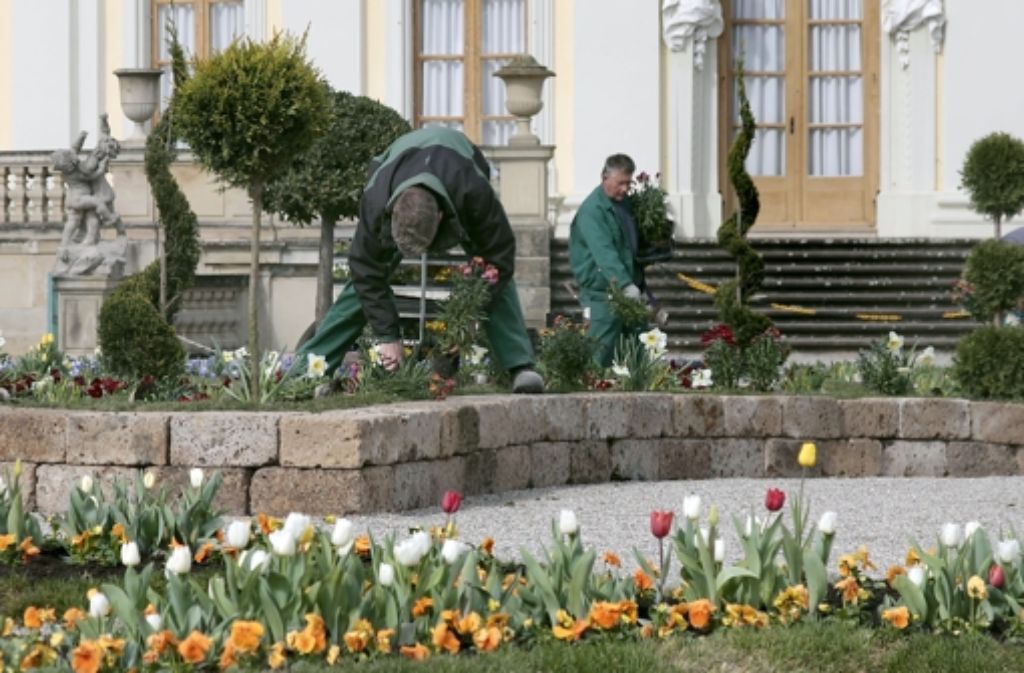 50.000 Tulpen sollen den Besuchern beim Blüba in Ludwigsburg geboten werden. Das eigentliche Highlight sind jedoch die Strohskulpturen,..
