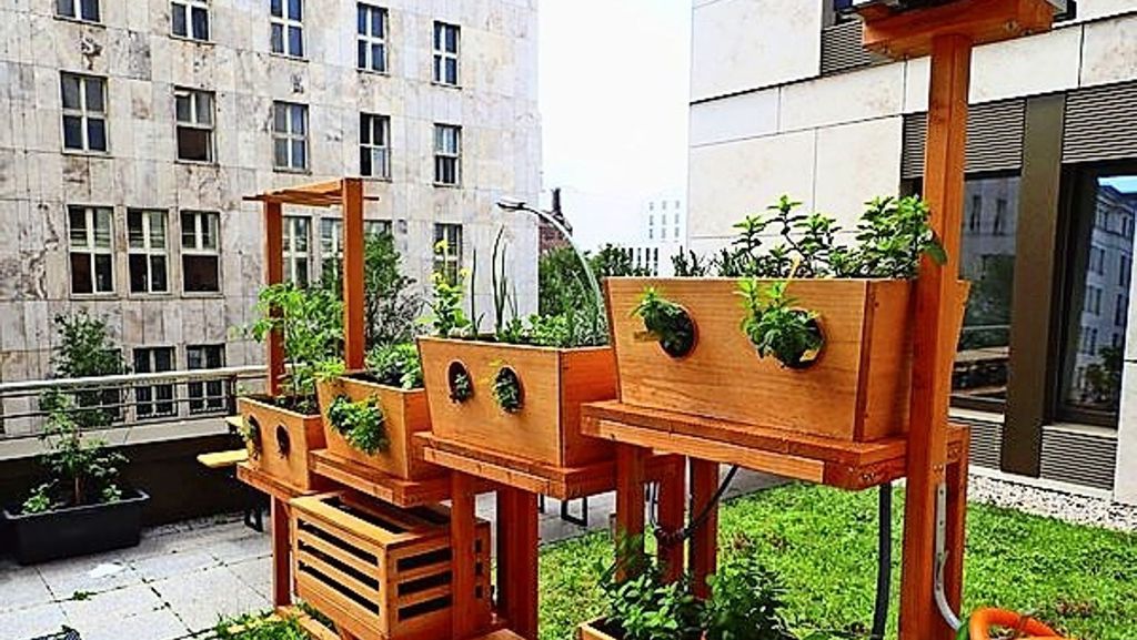 Selbst düngender Garten aus Stuttgart-Hohenheim: Start-up bewirbt sich um EU-Förderung