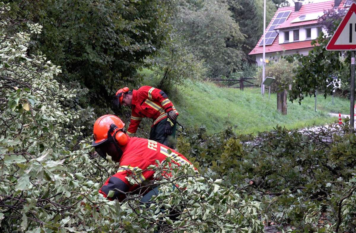 In Auenwald stürzten massive Bäume auf eine Straße, schweres Gerät kam zum Einsatz, um diese wieder freizubekommen.