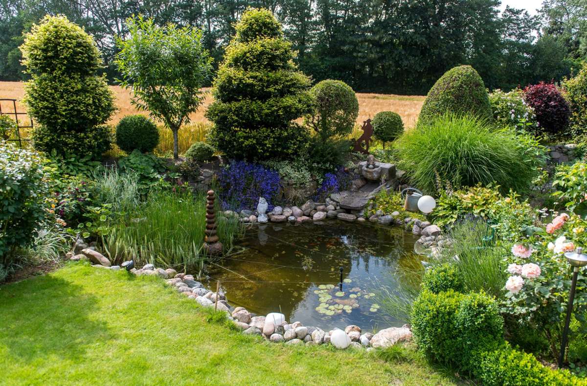 Ein Teich gehört für viele Menschen zum perfekten Garten.