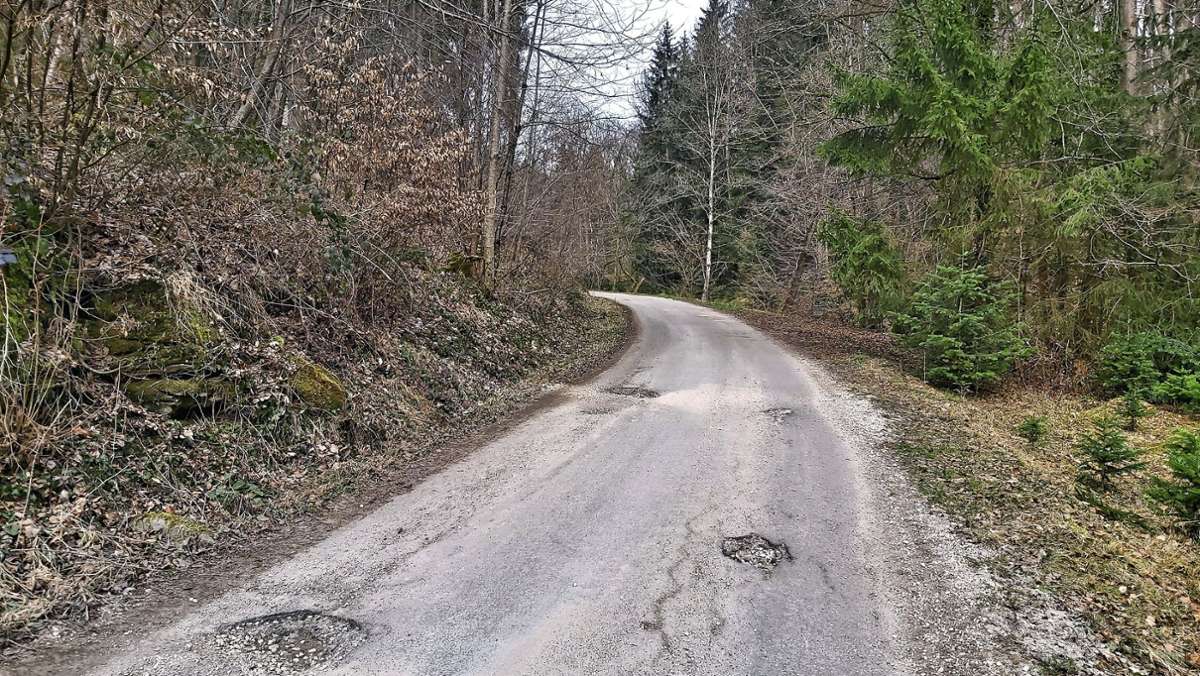  Der Gemeinderat Lichtenwald lehnt eine Vereinbarung mit der Forstverwaltung zur Sanierung des Bannmühletalwegs ab. Die Laufzeit und das Risiko hoher Folgekosten schrecken ihn ab. 
