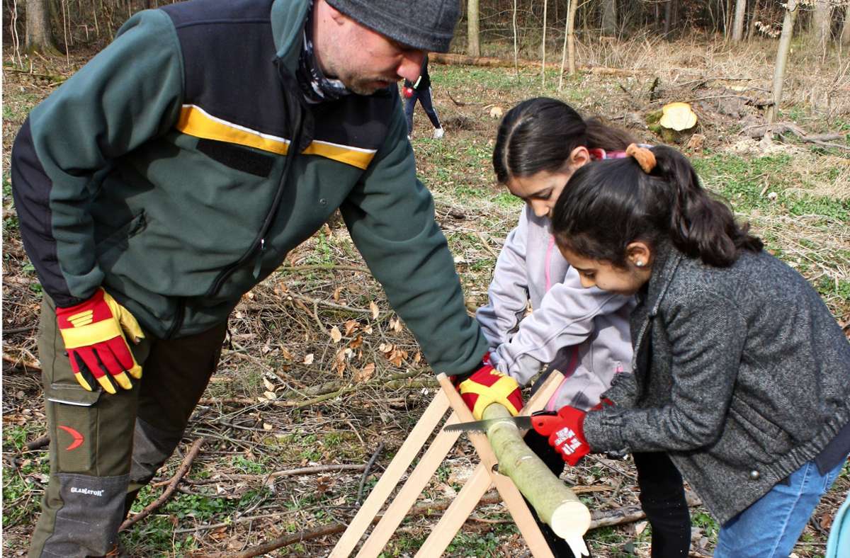 Zwei Schülerinnen sägen Holz für Markierungspfähle, Jan Ladewig hilft ihnen dabei. 150 Bäume haben die Schüler gepflanzt. Foto: Christoph Kutzer