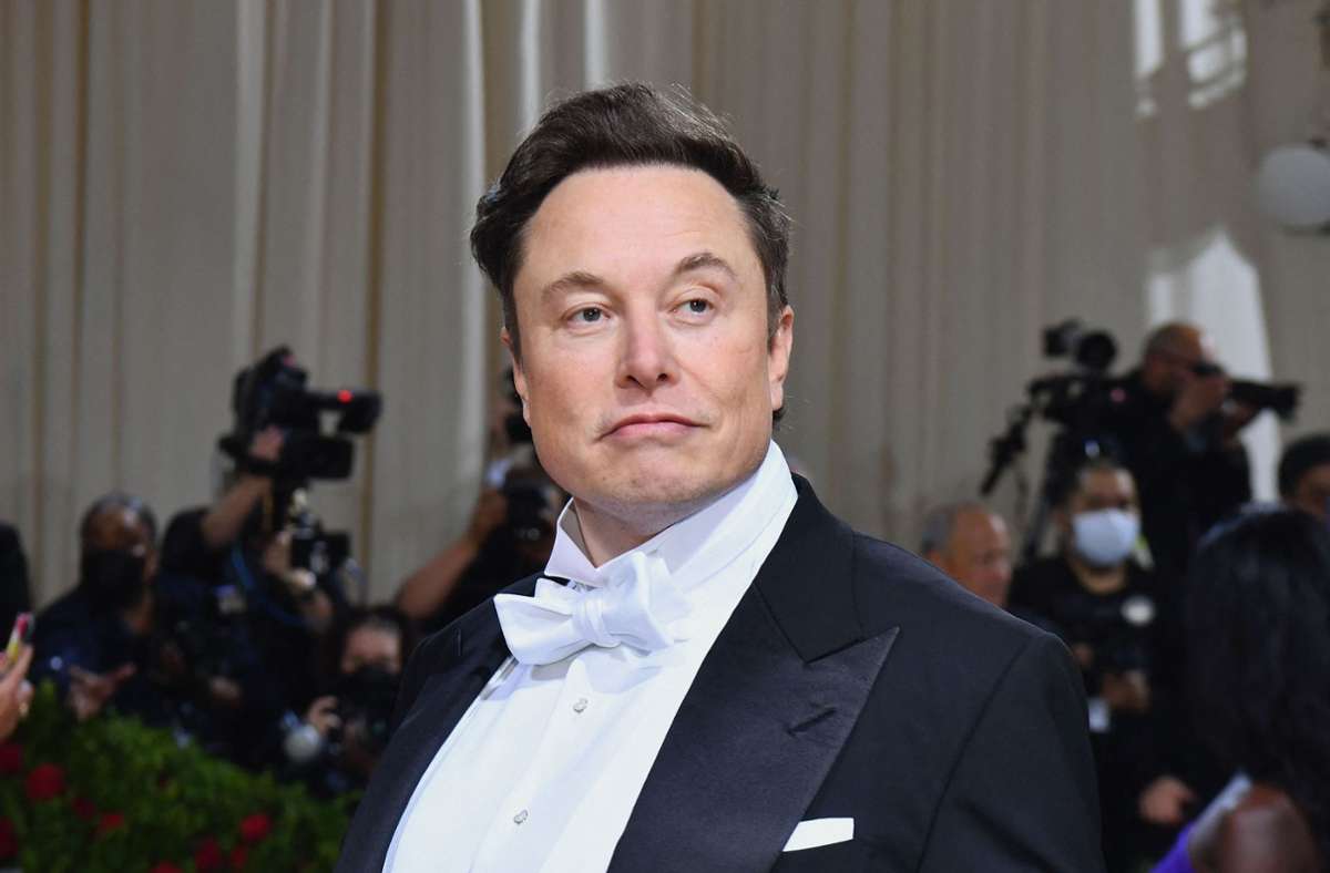 Twitter: Elon Musk sichert sich für Übernahme sieben Milliarden Dollar -  Wirtschaft - Stuttgarter Zeitung