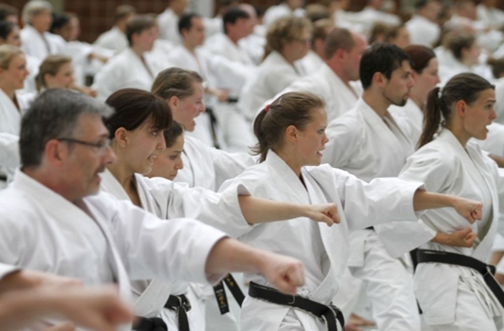 Beim 3. Gasshuku in Tamm sind Karateka aus ganz Deutschland zu Besuch, um von Großmeistern mehr über die Kampfkunst zu erfahren.