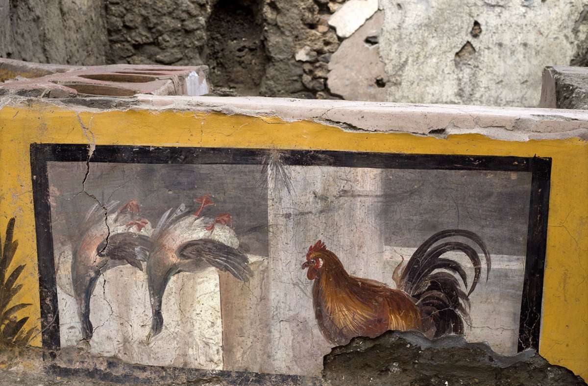 Die abgebildeten Enten und ein Hahn waren wohl Tiere, die in der Verkaufsstätte geschlachtet und verkauft wurden.