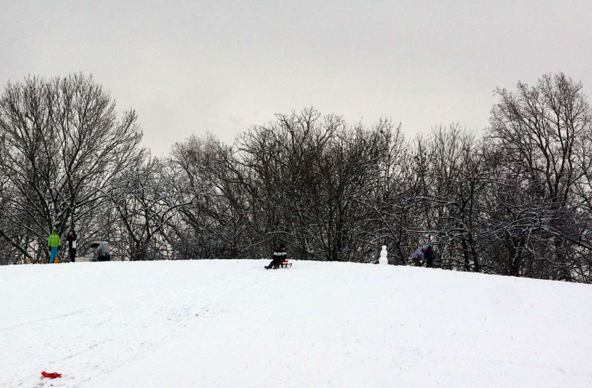 Auf dem Kallenberg freuen sich Kinder über den Schneefall und fahren Schlitten.
