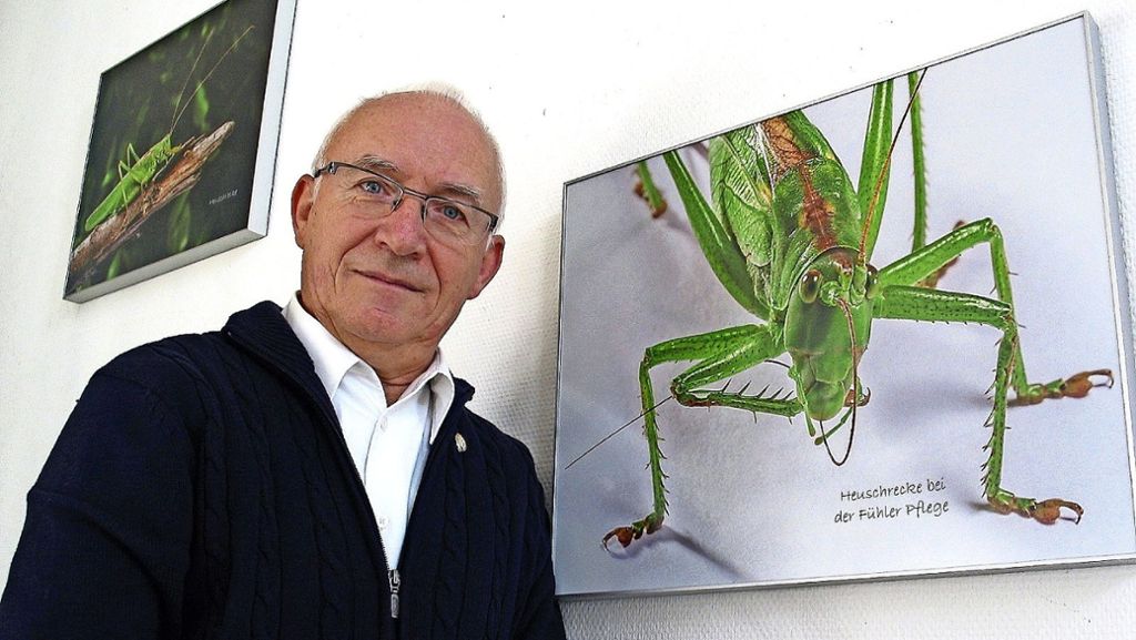 Fotoausstellung in Stuttgart-Stammheim: Die geheime Welt der Insekten