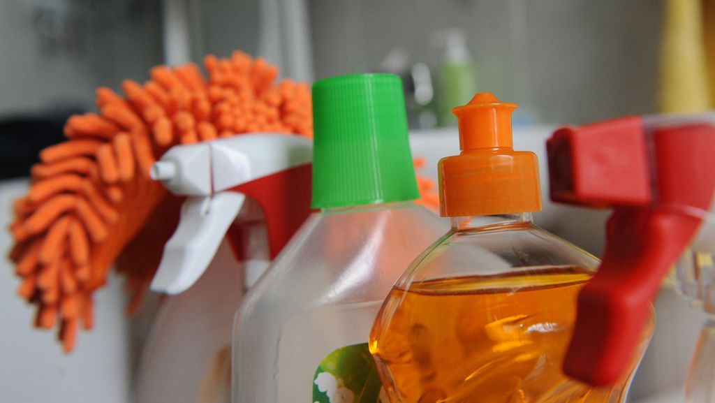 Putzhilfe für zuhause: So sauber sind Putzportale
