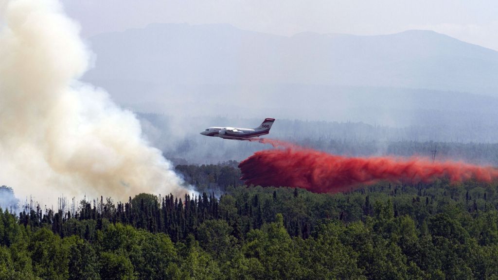 Waldbrände in der Arktis: Der Hohe Norden  steht in Flammen