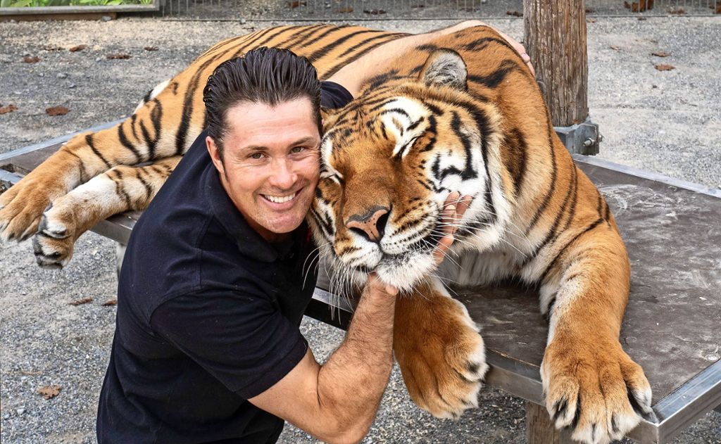 Cashmere lässt sich am ehesten knuddeln. An jedem Gastspielort posiert  Lacey mit dem Tiger. Foto: factum/Andreas Weise