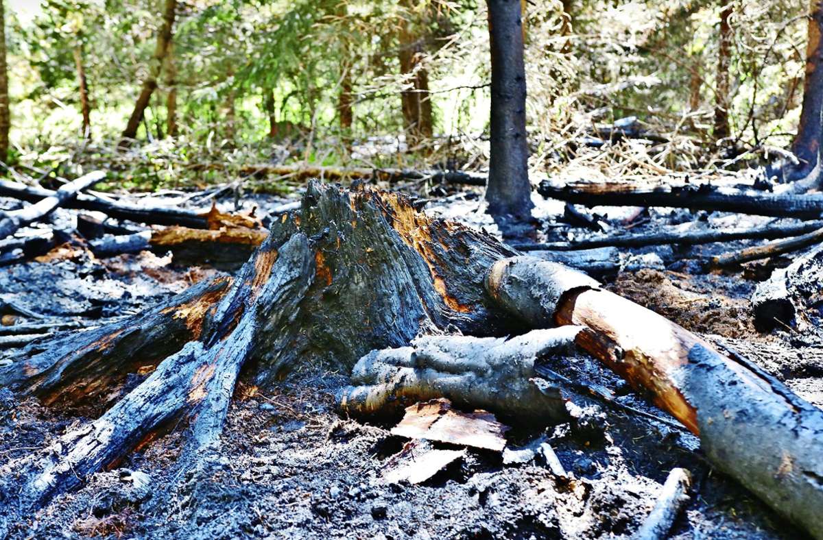 Ein Brand im Wald bei Großerlach hat am Donnerstag eine rund 600 Quadratmeter große Fläche zerstört. Die  Feuerwehr konnte Schlimmeres verhindern. Foto: 7aktuell/Kevin Lermer