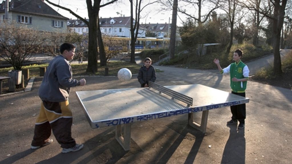 Dracheninsel in Bad Cannstatt: Ballspielplatz wird saniert