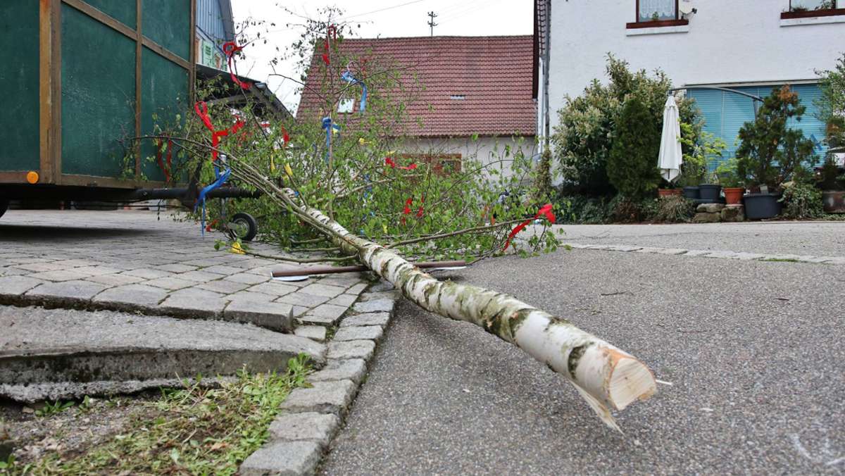 Walpurgisnacht in Baden-Württemberg: Unbekannte fällen mehrere Maibäume