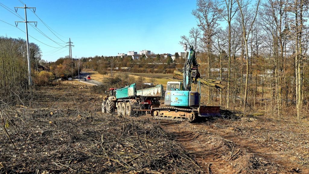 Straßenbau im Zuge der A-81-Erweiterung: Für den Autobahnknoten muss  Wald weichen