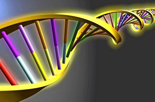 Die Gene des Menschen helfen bei Diagnose und Therapie von Krankheiten. Foto: imago