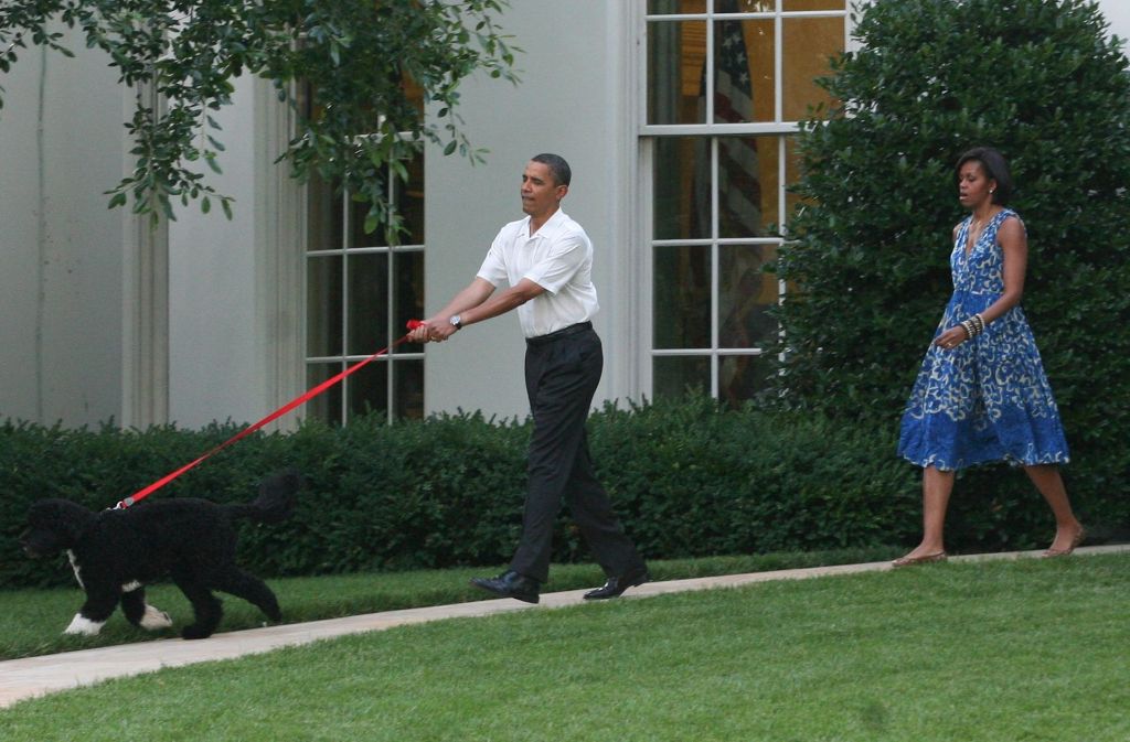 Bei den Obamas gibt Hund Bo das Tempo vor.