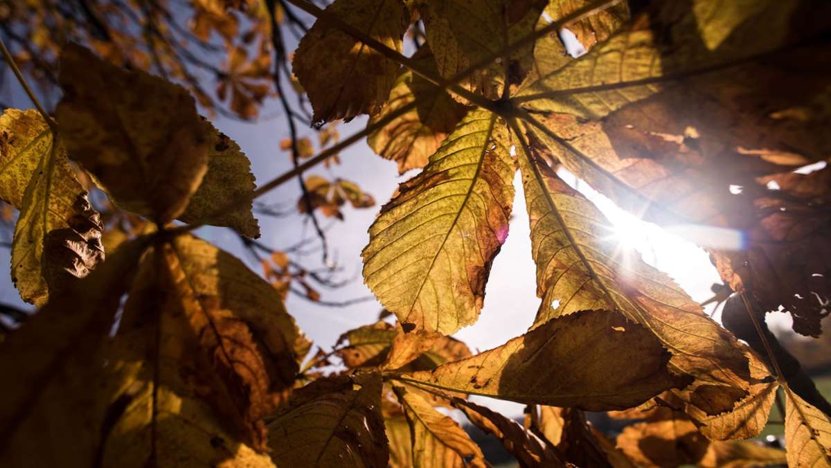 Wetter in Deutschland: Viertwärmster Herbst seit Beginn der Wetteraufzeichnungen