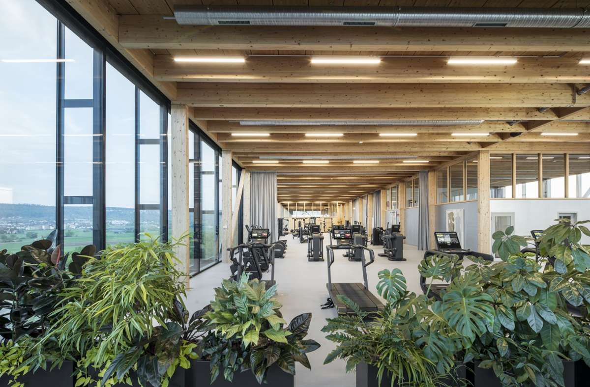 Das firmeneigene Fitnessstudio: viel Holz, viel Glas und ein Panoramablick ins Grüne