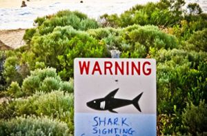 Surfer vor australischer Ostküste bei Hai-Angriff gestorben