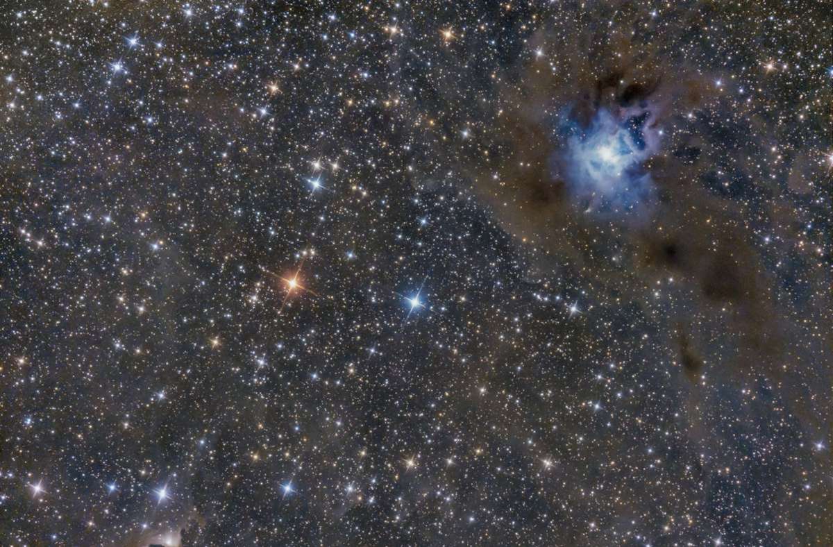 Der Irisnebel ist 1825 Lichtjahre von der Erde entfernt. Ein Stern im Inneren erleuchtet die Staubwolke in kräftigem Blau – man spricht von einem Reflexionsnebel.