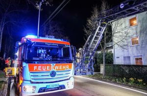 Feuerwehr holt Familie mit Leiter aus verrauchtem Haus