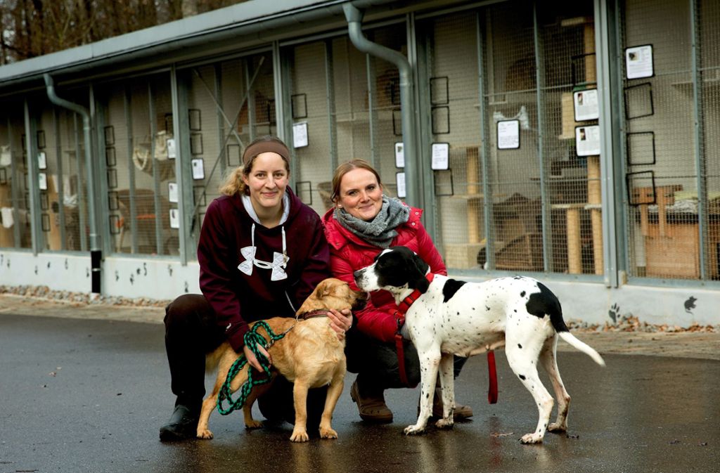 Um die  Tiere kümmern sich in Göppingen Helferinnen wie Maren Thompson (links) und Anna de Jesus Relva. Foto: Ines Rudel